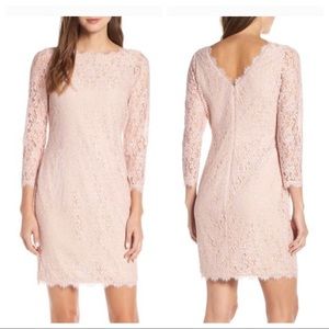 NWT Eliza J Blush Pink Blush Lace Sheath Dress